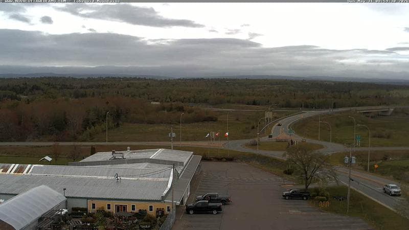 Cobequid Mountains