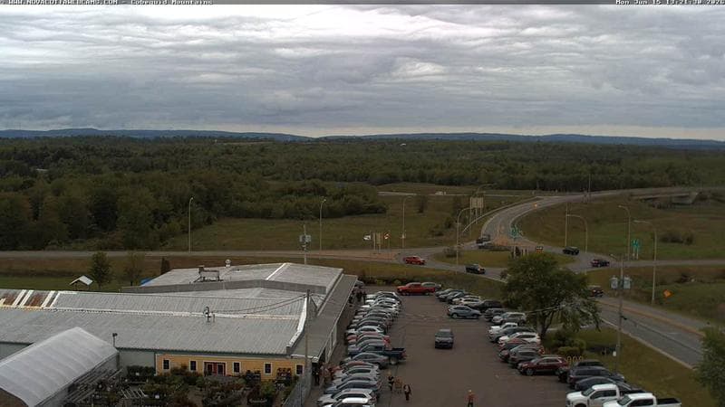 Cobequid Mountains