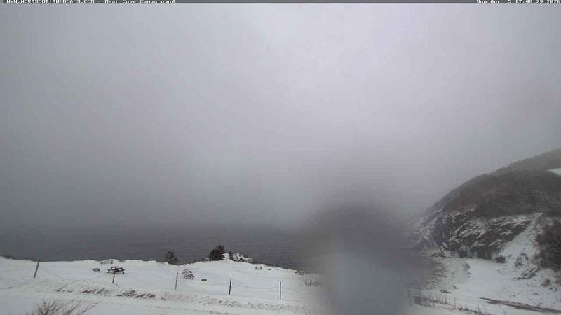 Meat Cove Campground