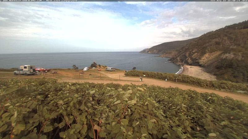 Meat Cove Campground