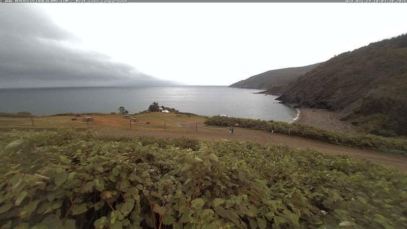 Meat Cove Campground