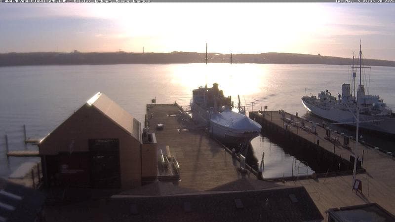 Museum Wharves