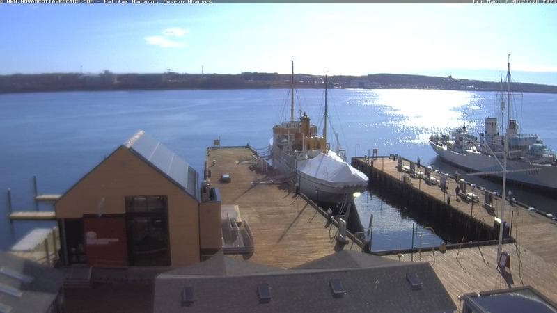 Museum Wharves