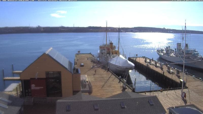 Museum Wharves