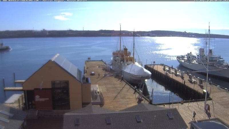 Museum Wharves