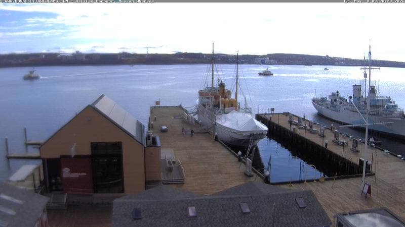 Museum Wharves