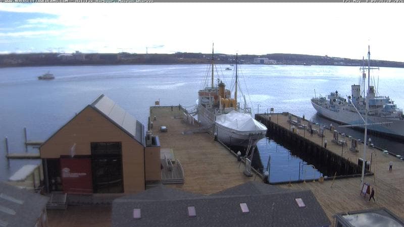 Museum Wharves