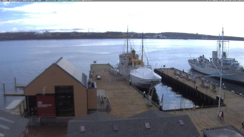 Museum Wharves