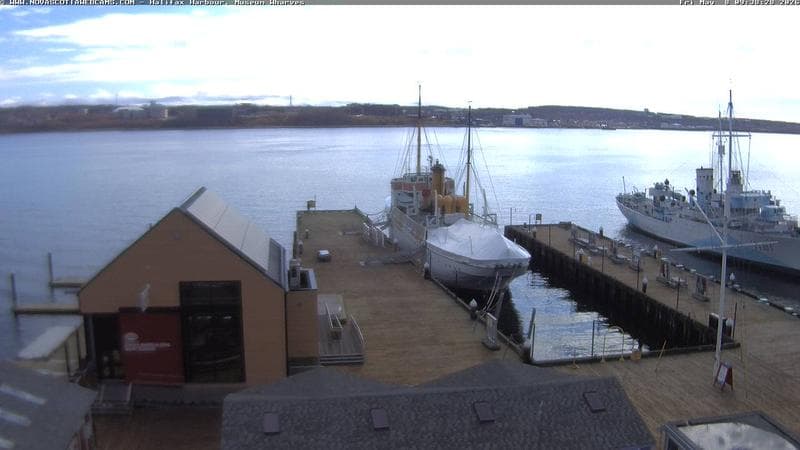 Museum Wharves
