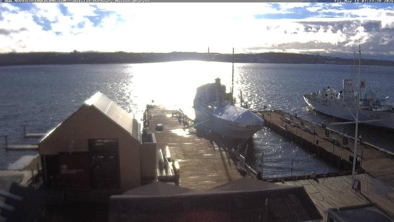 Museum Wharves
