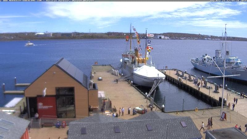 Museum Wharves