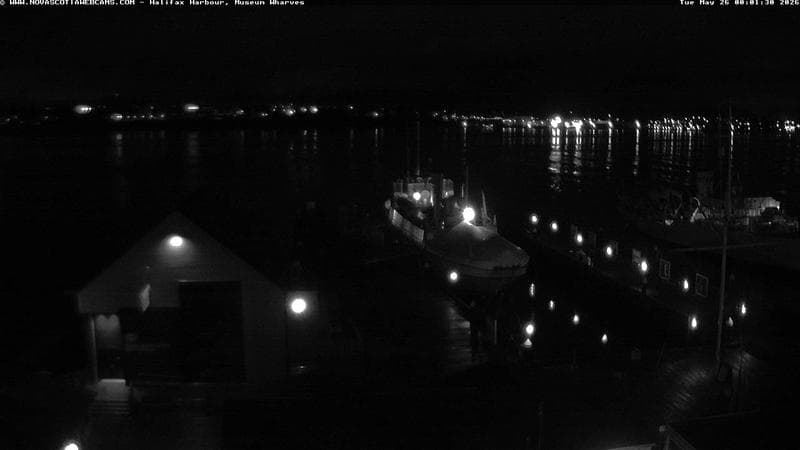 Museum Wharves