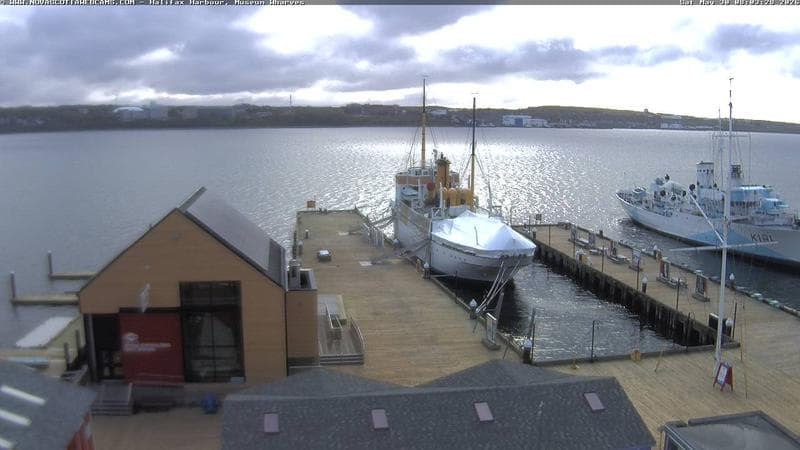 Museum Wharves