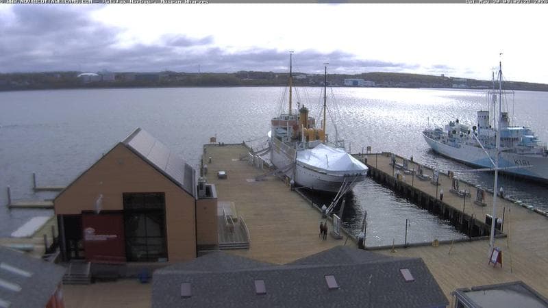 Museum Wharves