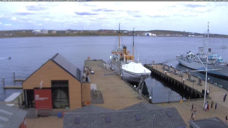 Museum Wharves