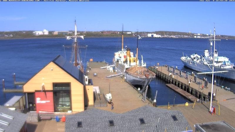 Museum Wharves