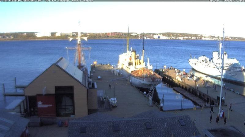 Museum Wharves