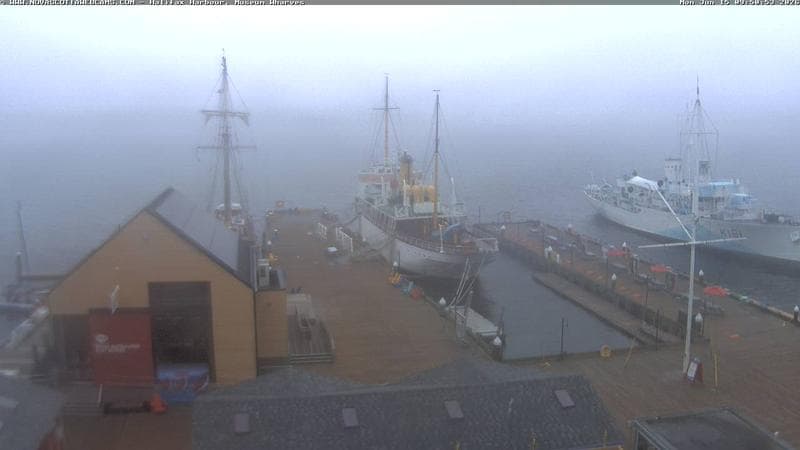 Museum Wharves