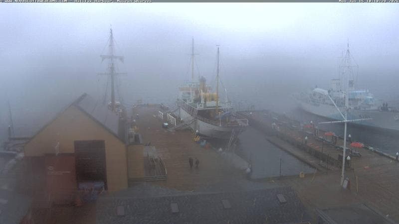 Museum Wharves