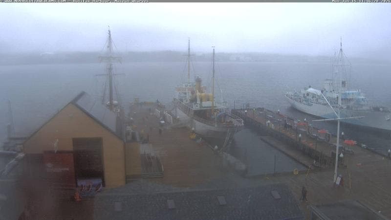Museum Wharves