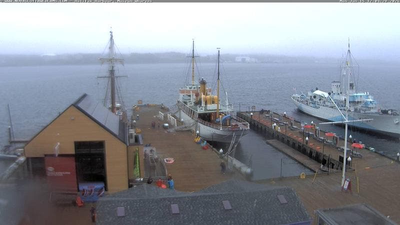 Museum Wharves