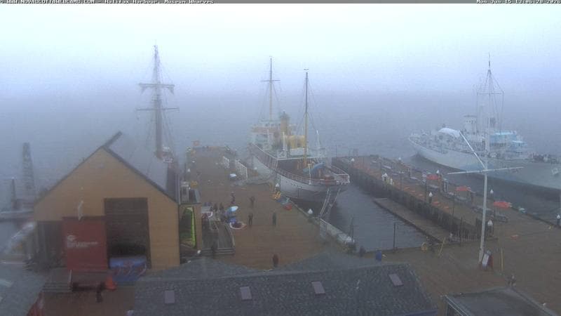 Museum Wharves