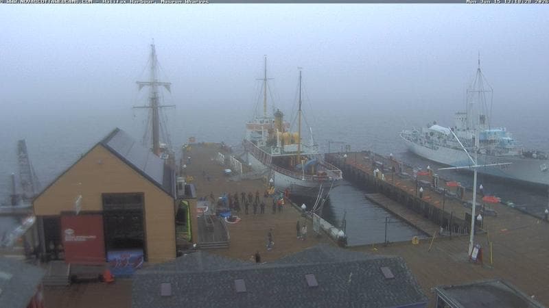 Museum Wharves