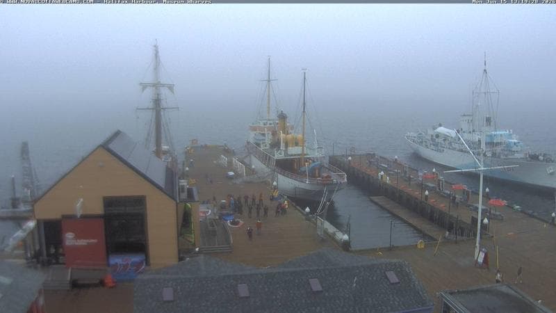 Museum Wharves