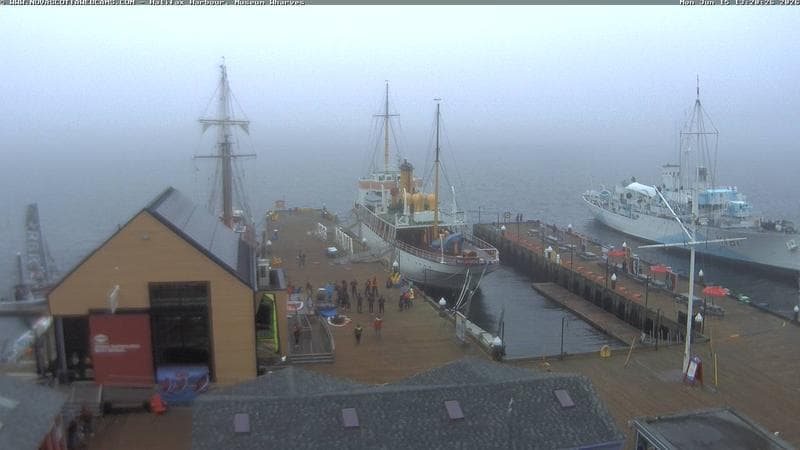 Museum Wharves