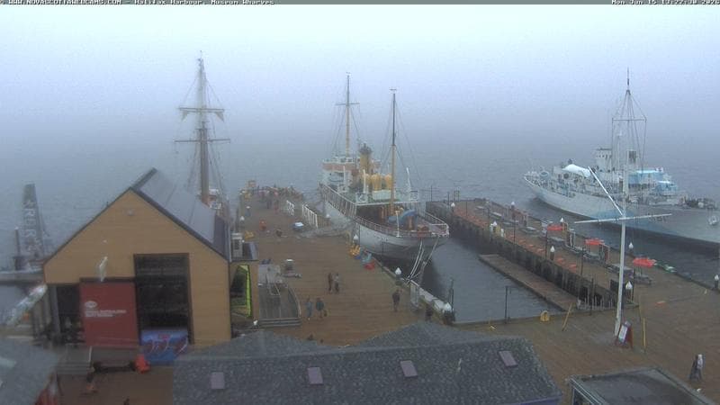 Museum Wharves