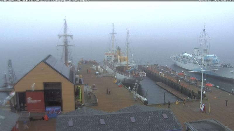Museum Wharves