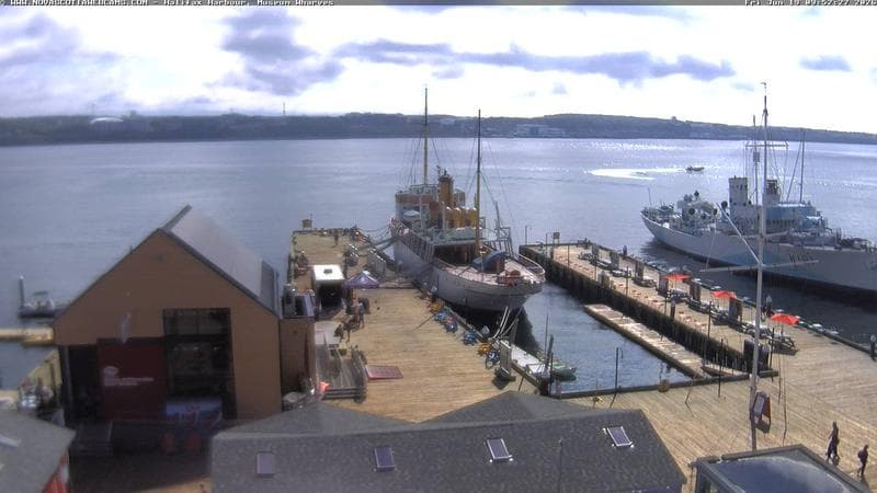 Museum Wharves