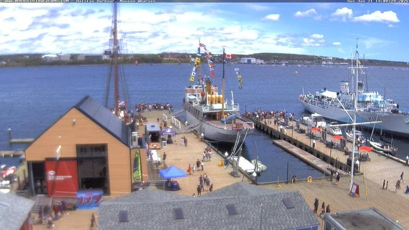 Museum Wharves