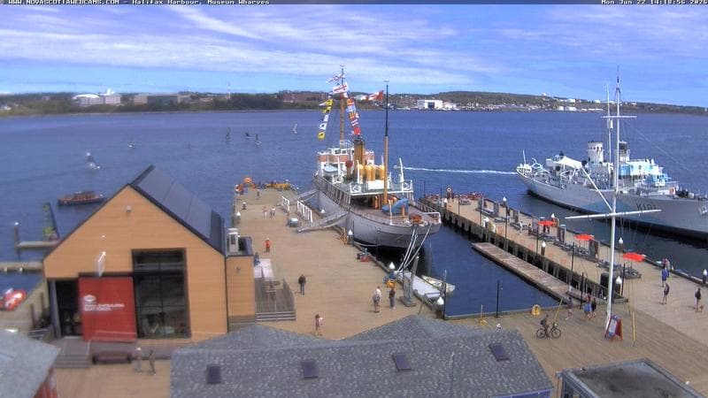 Museum Wharves