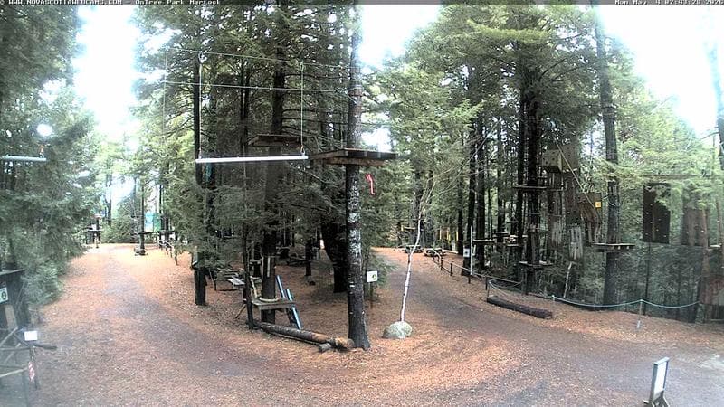 Ontree Park