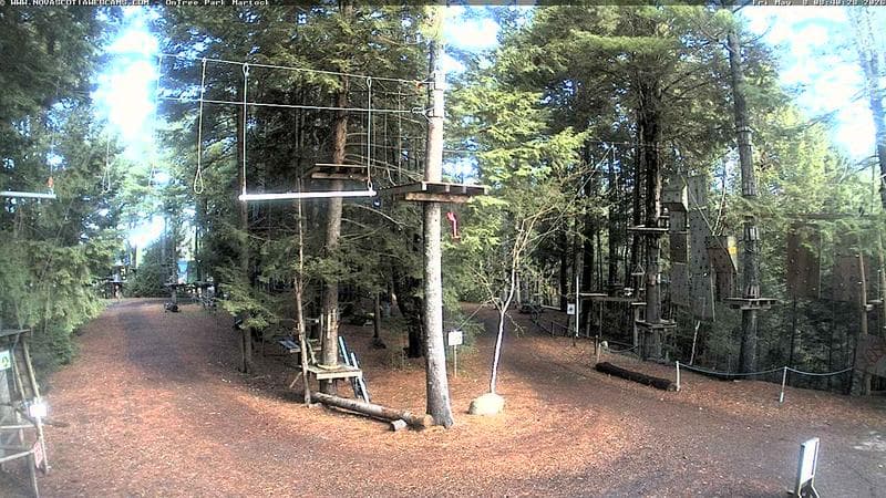 Ontree Park