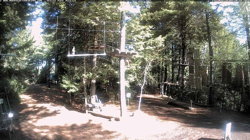 Ontree Park