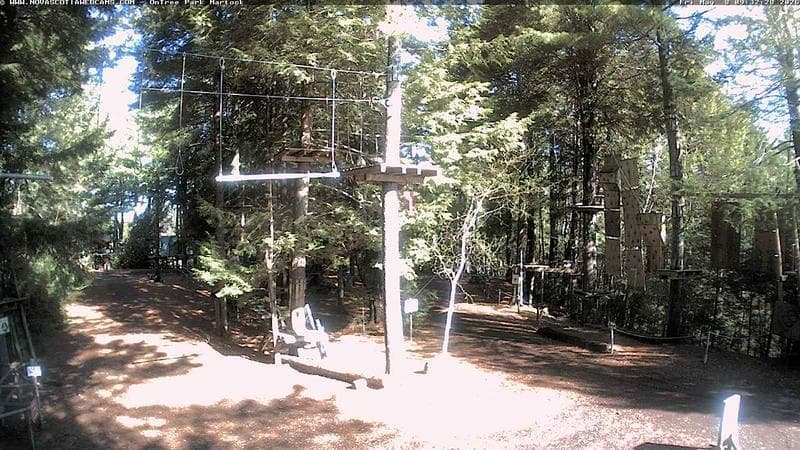 Ontree Park