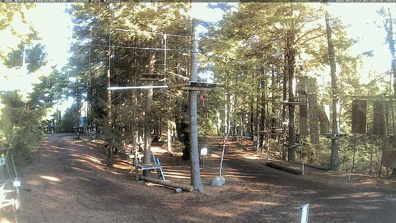 Ontree Park