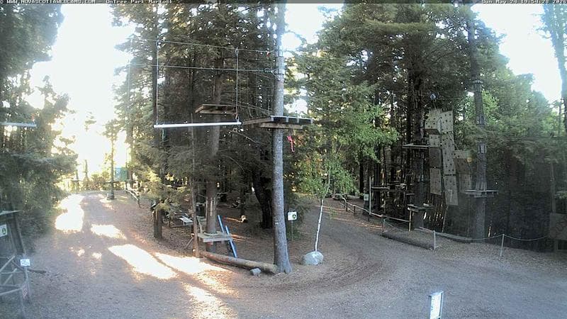 Ontree Park