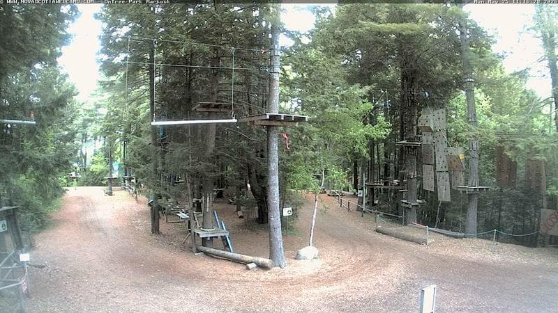 Ontree Park