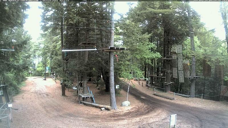 Ontree Park