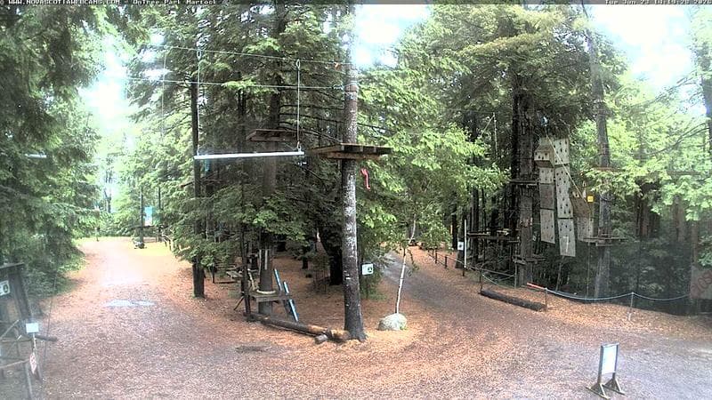 Ontree Park
