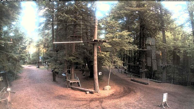 Ontree Park