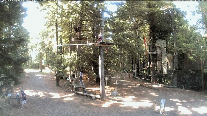 Ontree Park