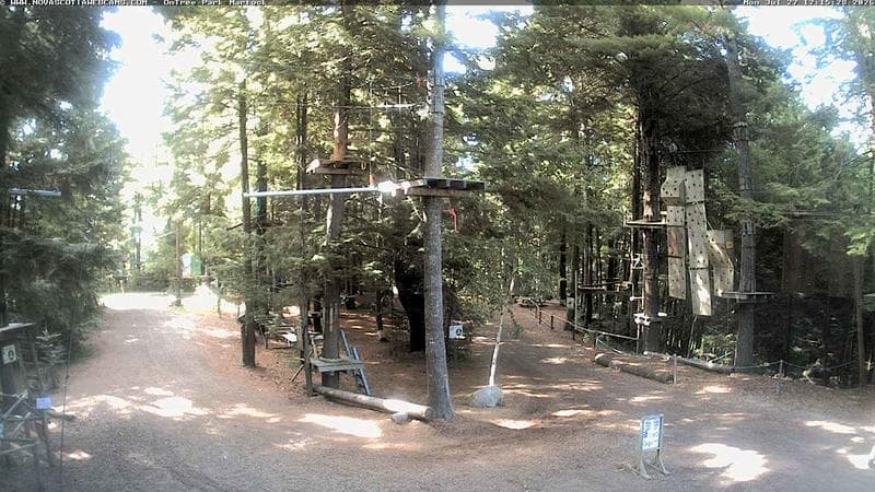 Ontree Park