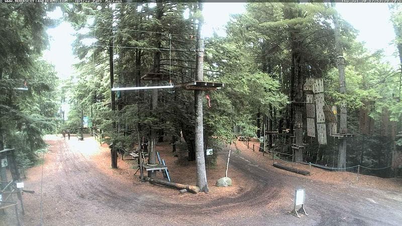 Ontree Park
