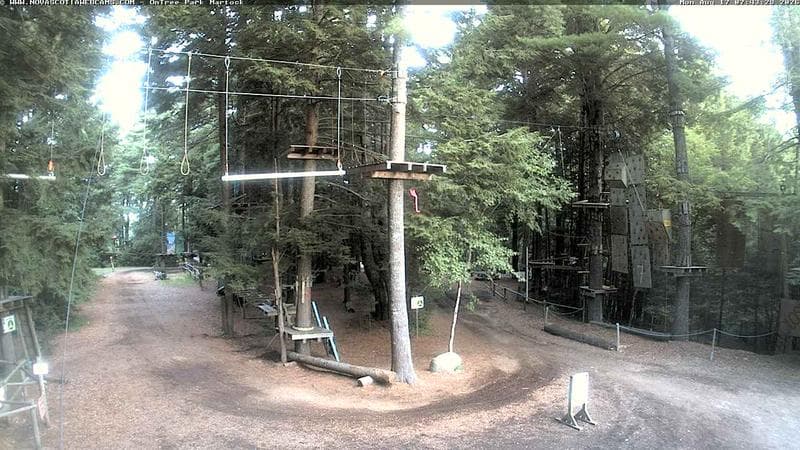 Ontree Park