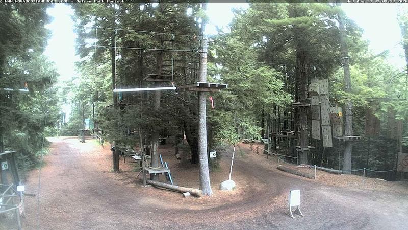 Ontree Park