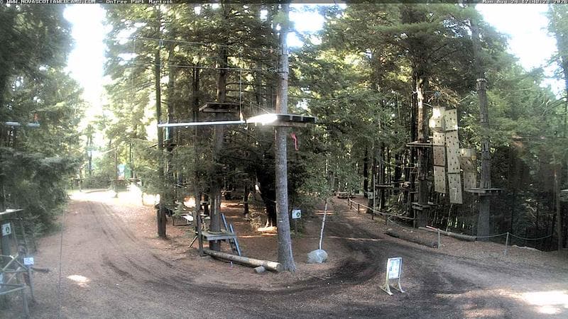 Ontree Park